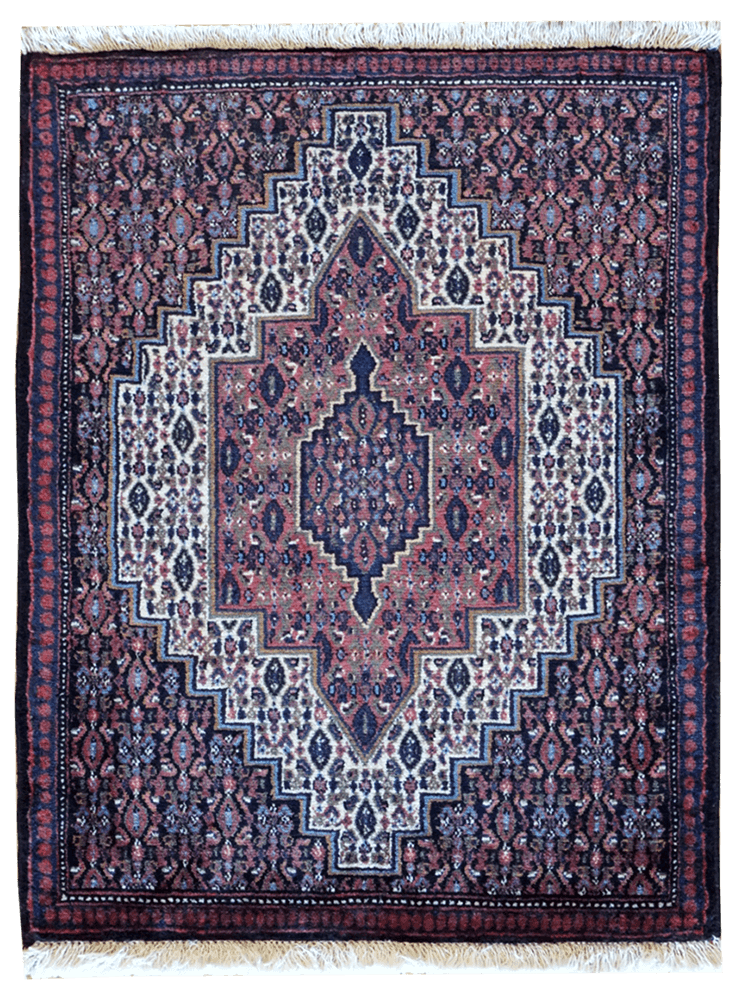 Persia (Iran) Senneh Rug - Farsh-Heriz Rug Gallery