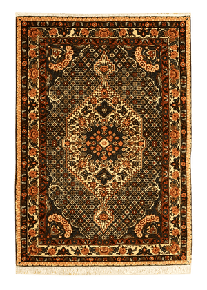 Persia (Iran) Bakhtiari Rug - Farsh-Heriz Rug Gallery